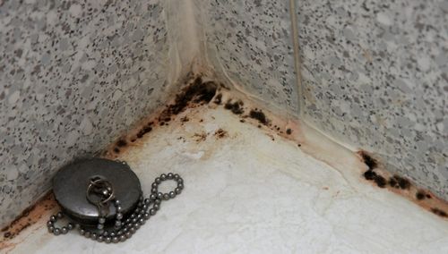 Как избавиться от грибка в ванной: средства, советы, методы удаления