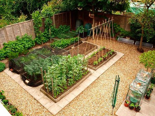 Декоративный огород своими руками : идеи для огорода