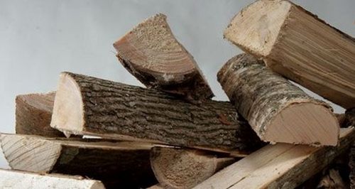 Какими дровами лучше топить печь? Обзор всех пород древесины
