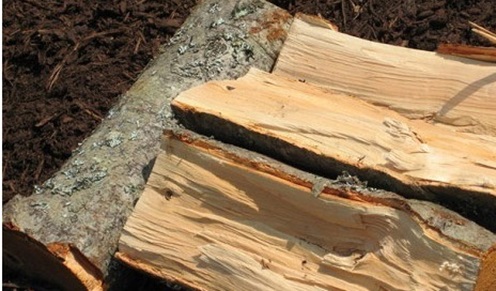 Какими дровами лучше топить печь? Обзор всех пород древесины