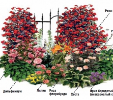 Оформление цветников и клумб своими руками: фото примеры, идеи, советы