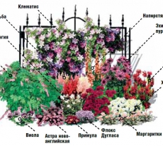 Оформление цветников и клумб своими руками: фото примеры, идеи, советы