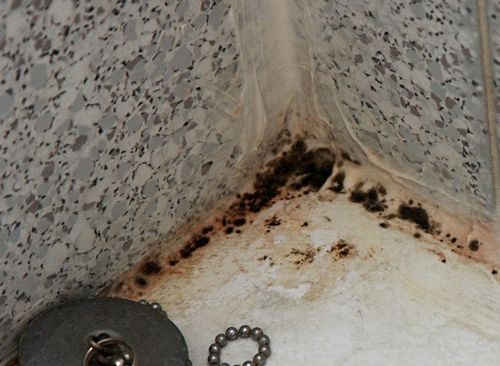 Как убрать плесень в ванной: как удалить и отмыть черную, как очистить герметик на швах, как бороться с грибком в душевой кабине