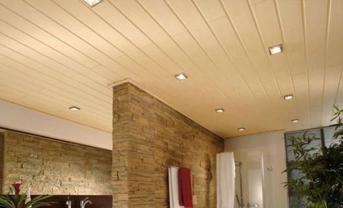 Особенности и виды применения стеновых панелей на потолок