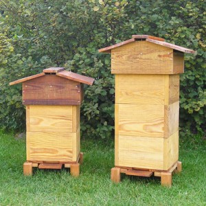 Улей своими руками для пчёл: как сделать, чертежи