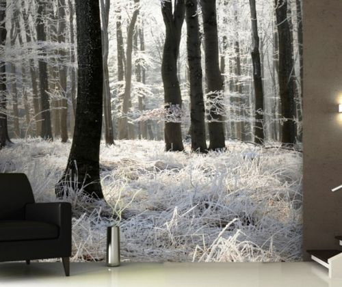 Фотообои «Зима» в интерьере: создаем атмосферу зимней свежести и уюта