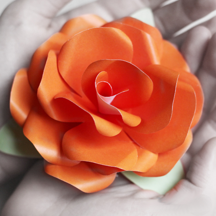 Как сделать красивые цветы из бумаги своими руками - мастер класс