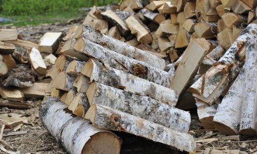 Какими дровами лучше топить печь: породы деревьев (фото и видео)