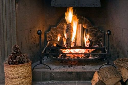 Температура горения дров в печи, котле, камине на дровах, какие дрова для печки лучше и выгоднее