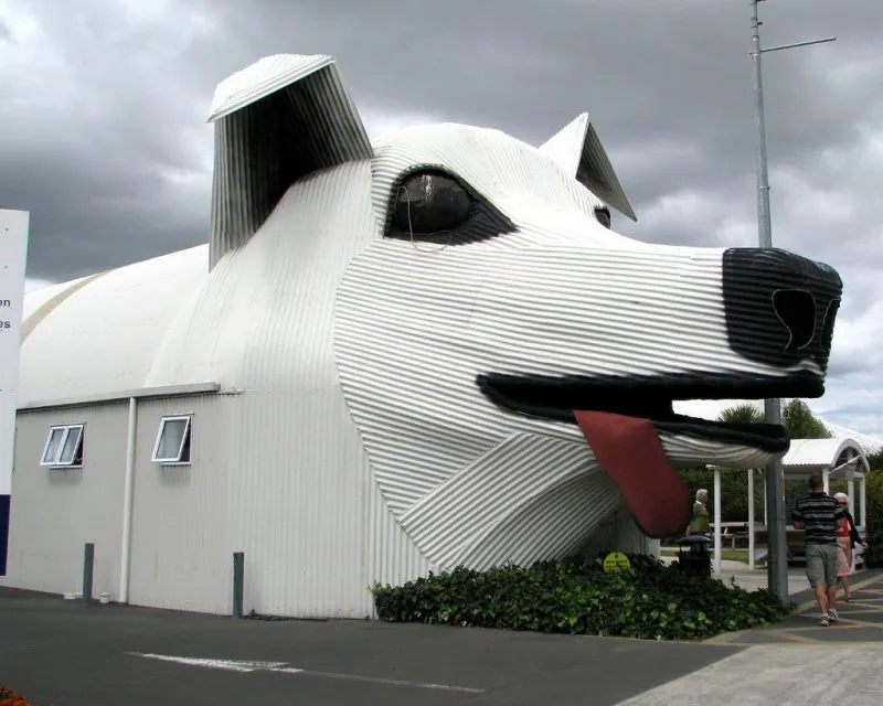 Здание собаки новая Зеландия