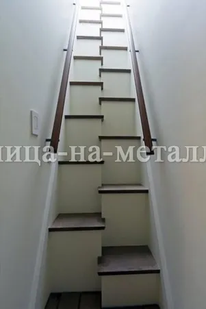 лестница утиный шаг