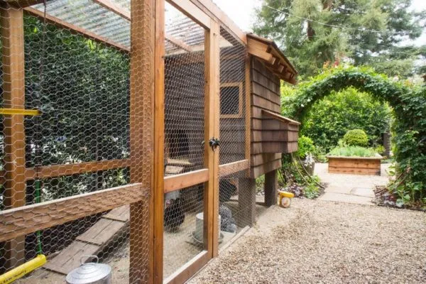 Небольшой красивый и уютный дом для домашней птицы вполне можно построить своими руками