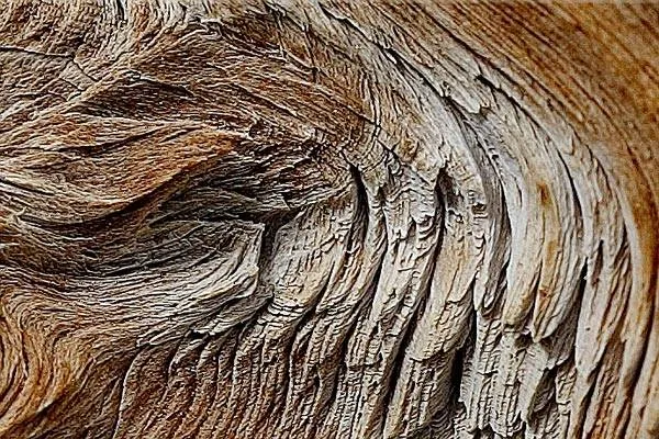 Естественная структура древесины