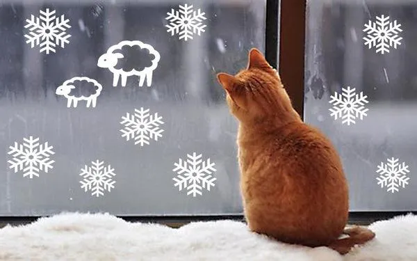 Котик смотрит на новогоднее окно